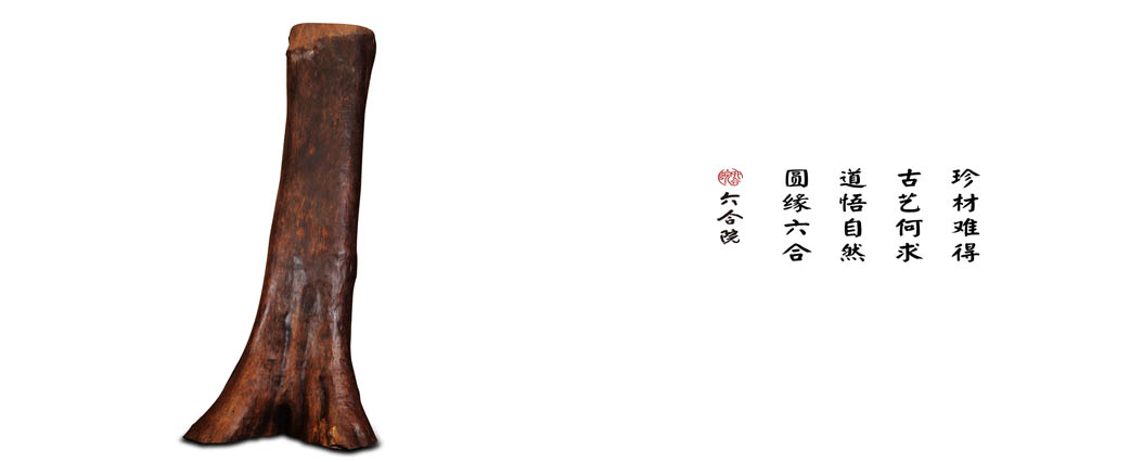 大树