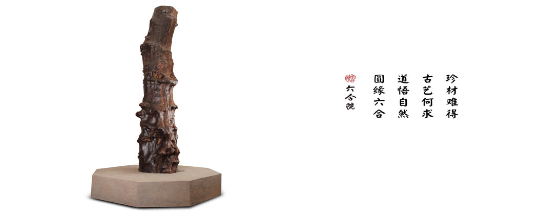 大树